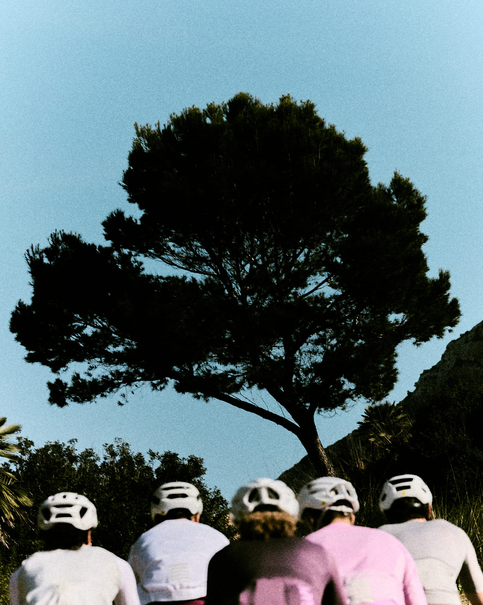 Pro Team SS26 image 3