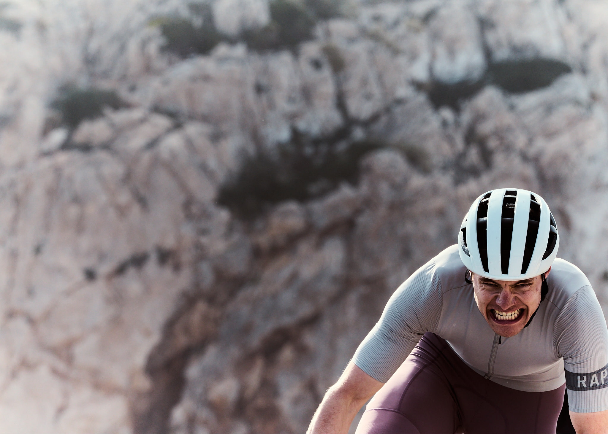 Pro Team SS26 image 10