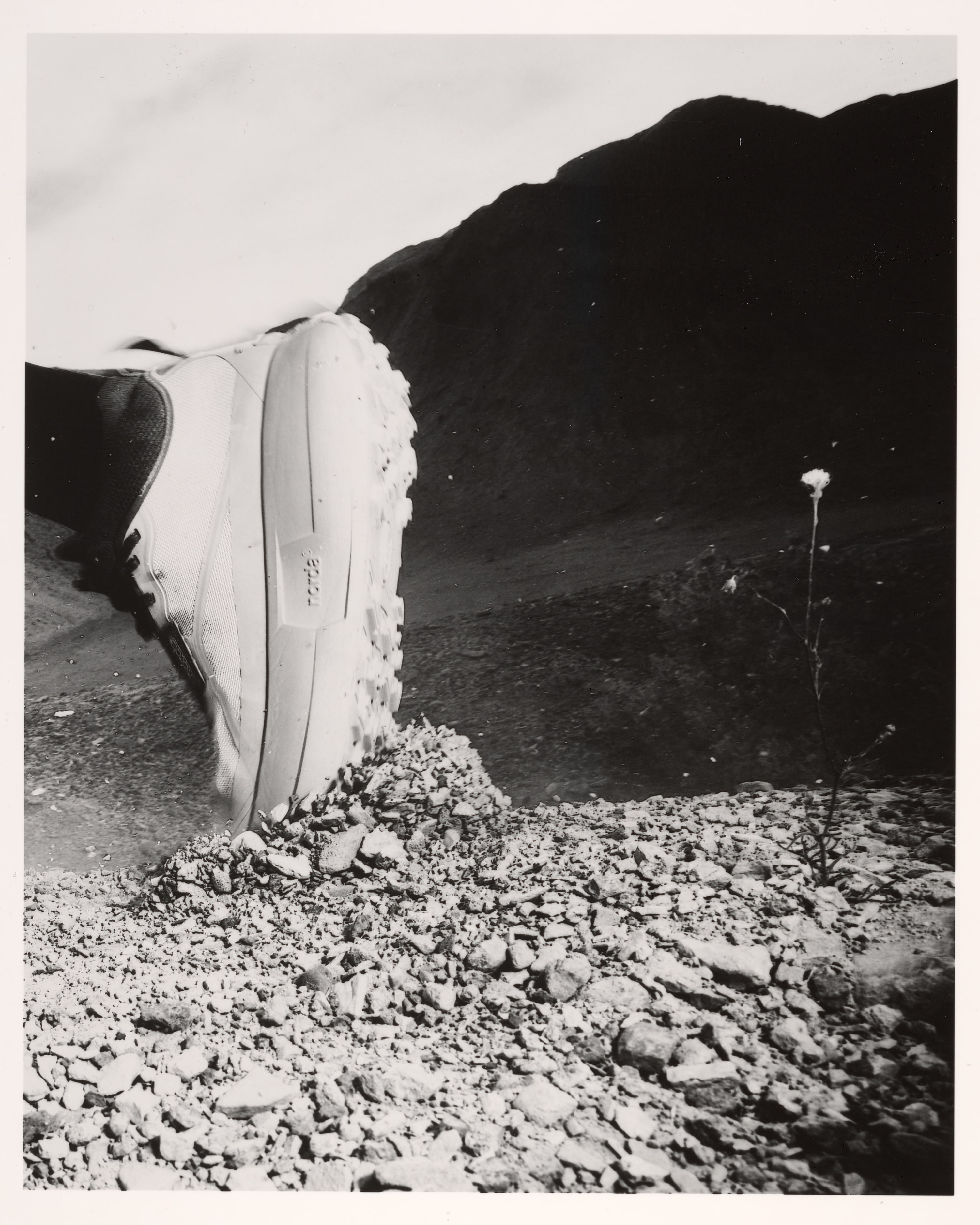 055 image 2
