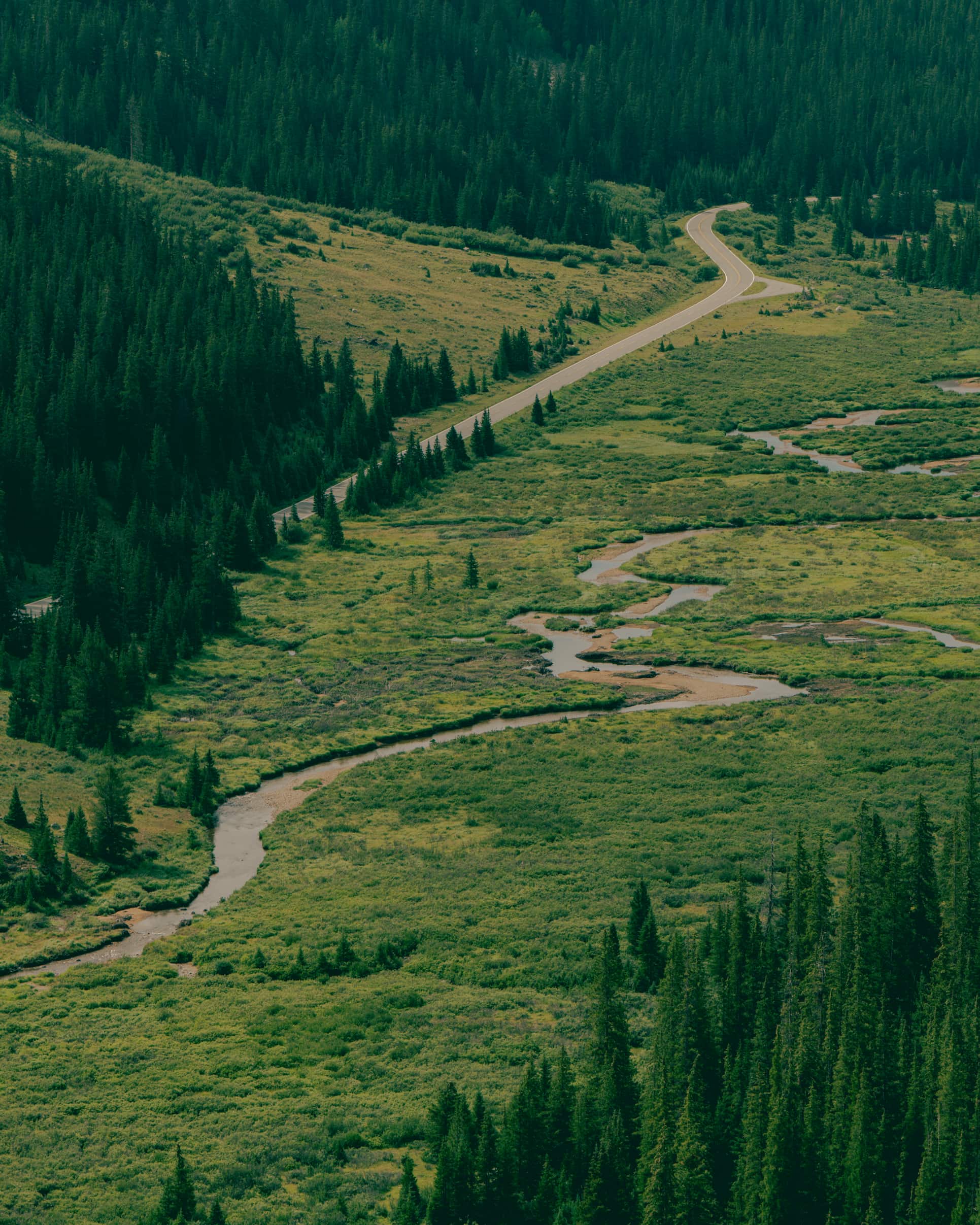 Performance *HIGH* image 22